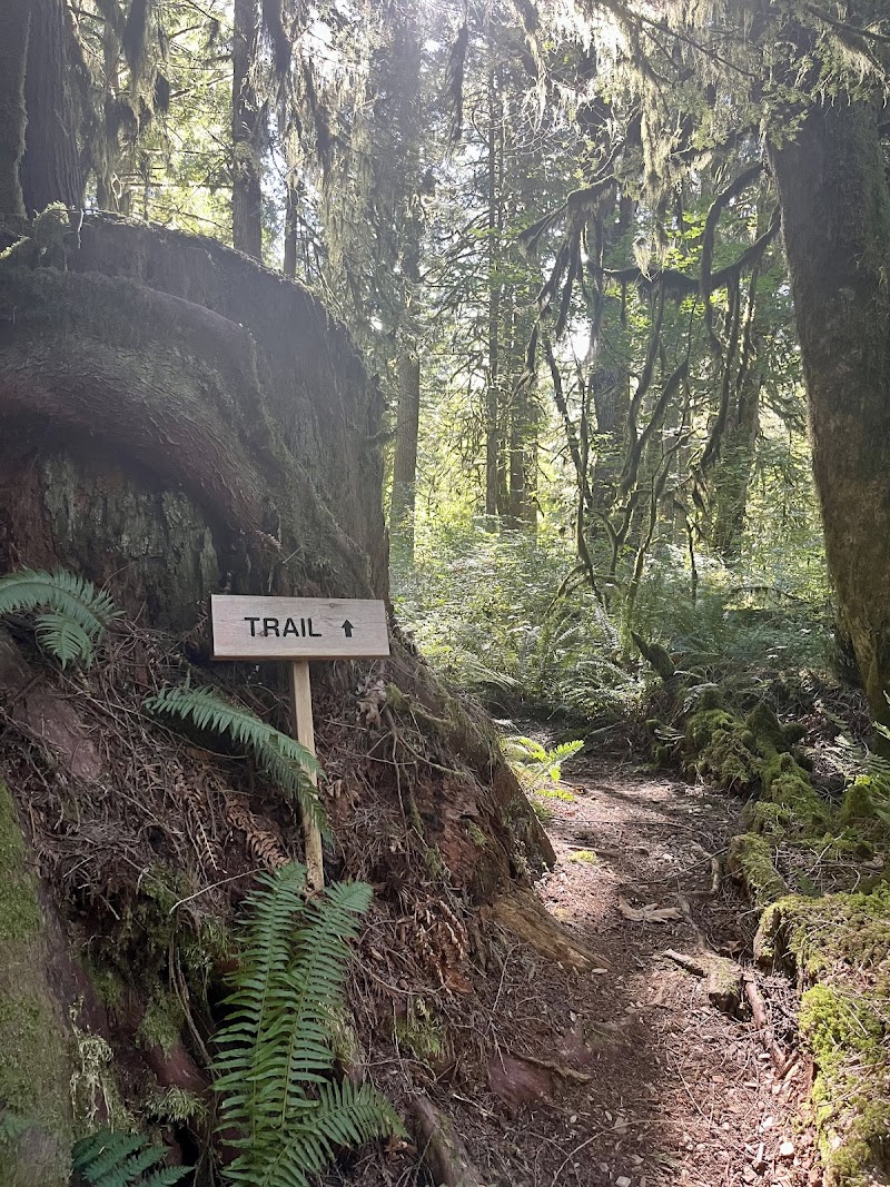Rainbow Lodge Retreat Center