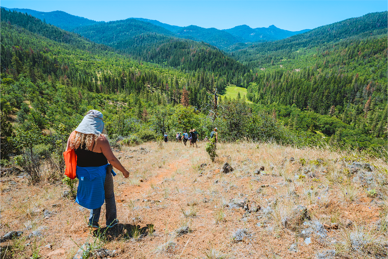 Buckhorn Springs Retreats & Cabins