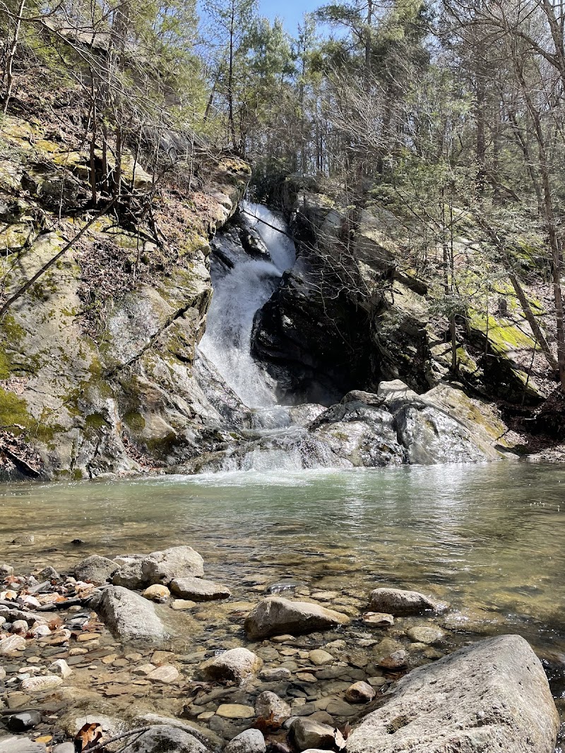 EarthMind Wellness Center thumbnail 2