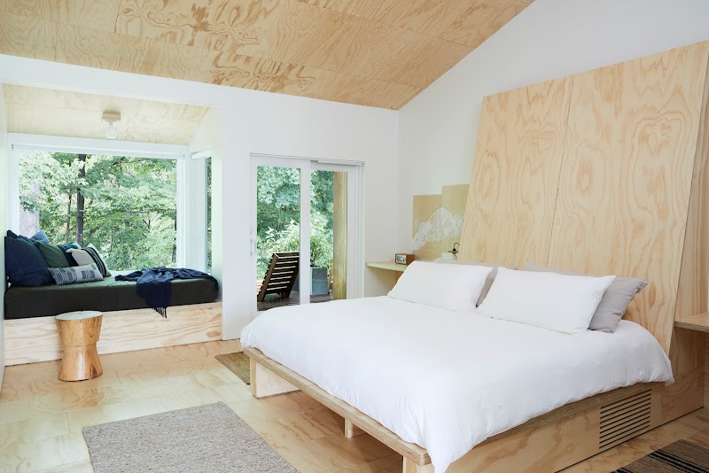 TOURISTS thumbnail 2