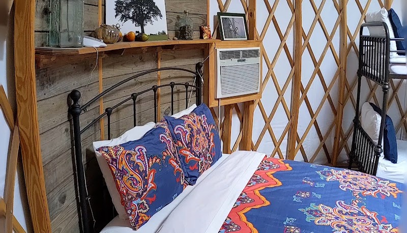 Mountain Springs Cabins thumbnail 2