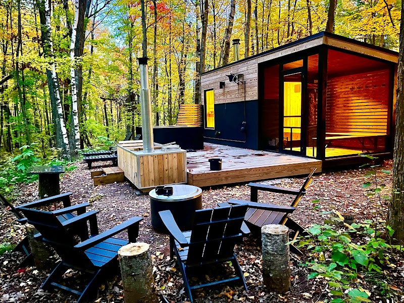 Silvae Spiritus Forest Bathing, Sauna, and Nature Retreats thumbnail 2