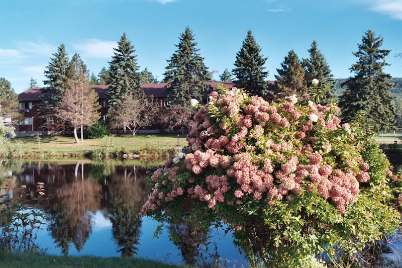 Peace Village Learning & Retreat Center thumbnail 2