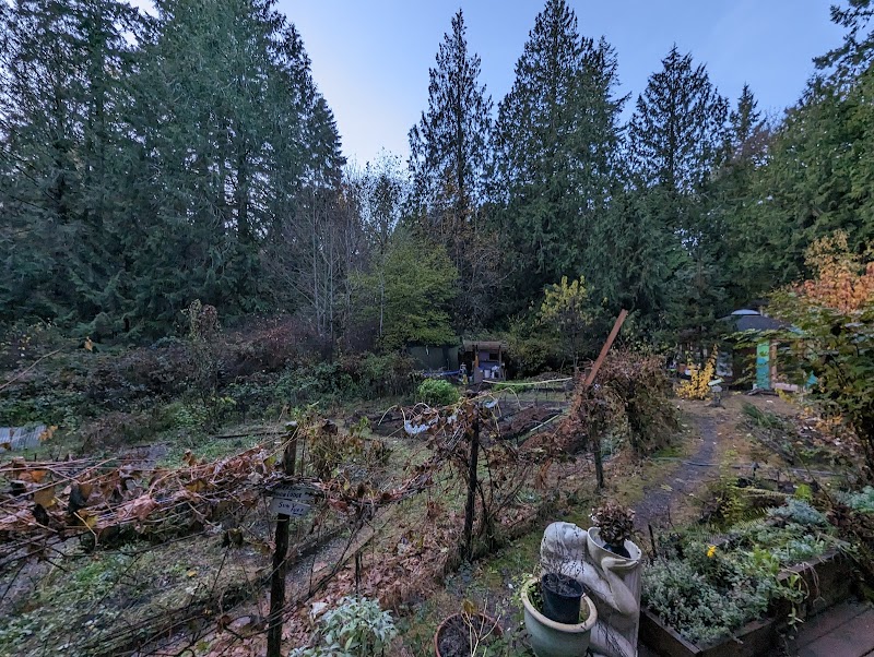 Sacred Groves thumbnail 2