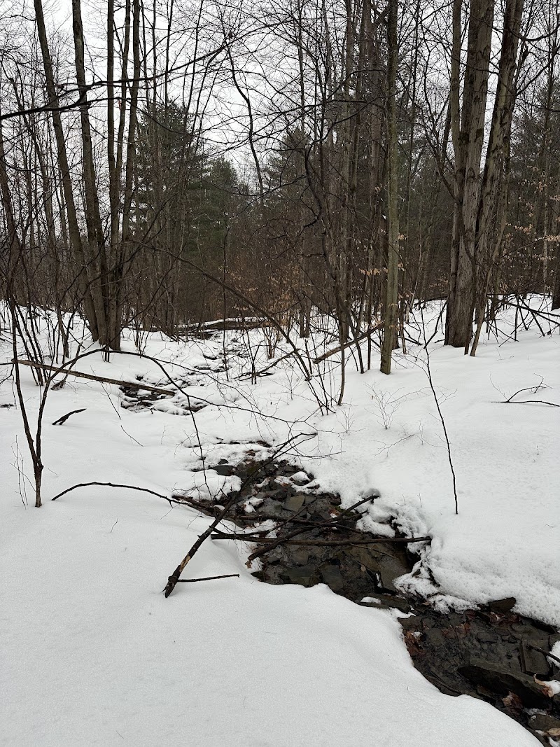 Light On the Hill thumbnail 2