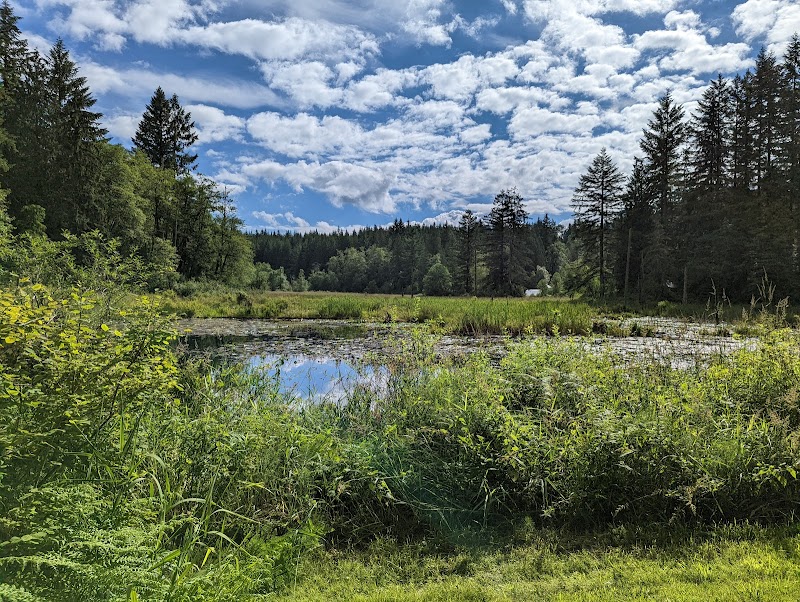 Mosswood Hollow Retreat Center thumbnail 3