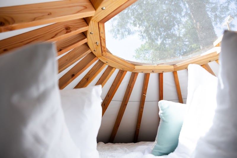 Purple City Retreats thumbnail 3