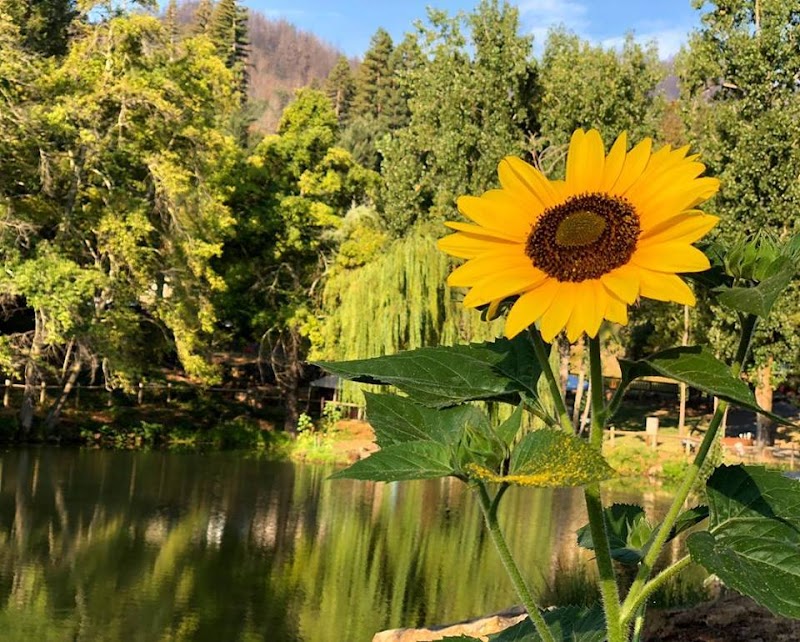 Enchanted Hills Camp and Retreat thumbnail 3