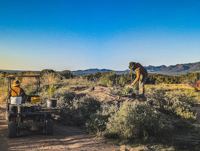 Synergia Ranch Retreat Center thumbnail 3
