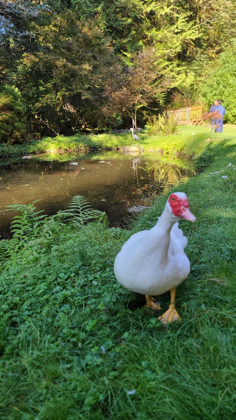 Rainbow Lodge Retreat Center thumbnail 3