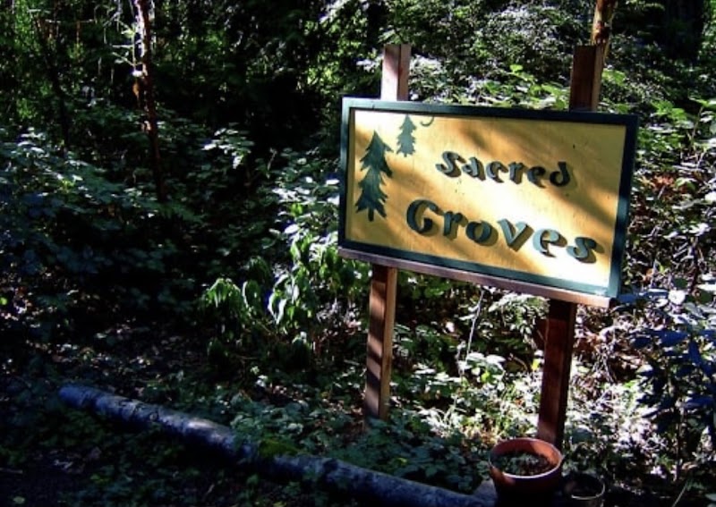 Sacred Groves thumbnail 3